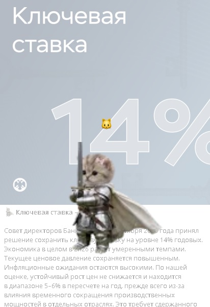 14 процентов 23 октября 2026 с котикорм в теллеграме